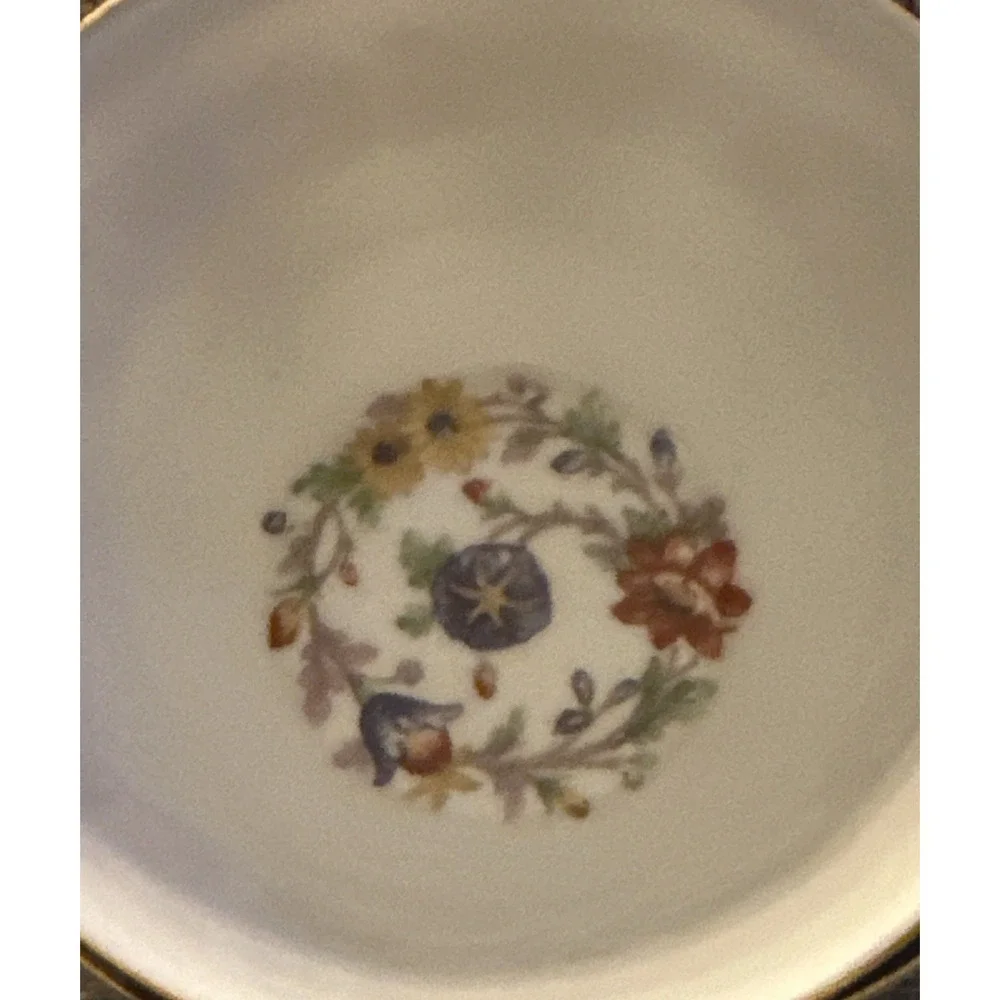 Theodore Haviland Limoges Chateaudun Cup & Saucer Set
